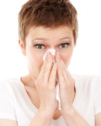 3 Approaches to Allergy Relief