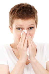 3 Approaches to Allergy Relief